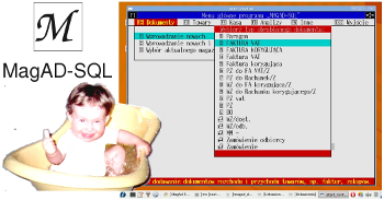 MagAD w Linuksie MagAD w Linuksie